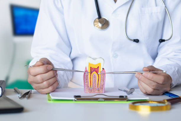 Best Emergency Dental Care for Broken or Chipped Teeth in Desert Hills, AZ